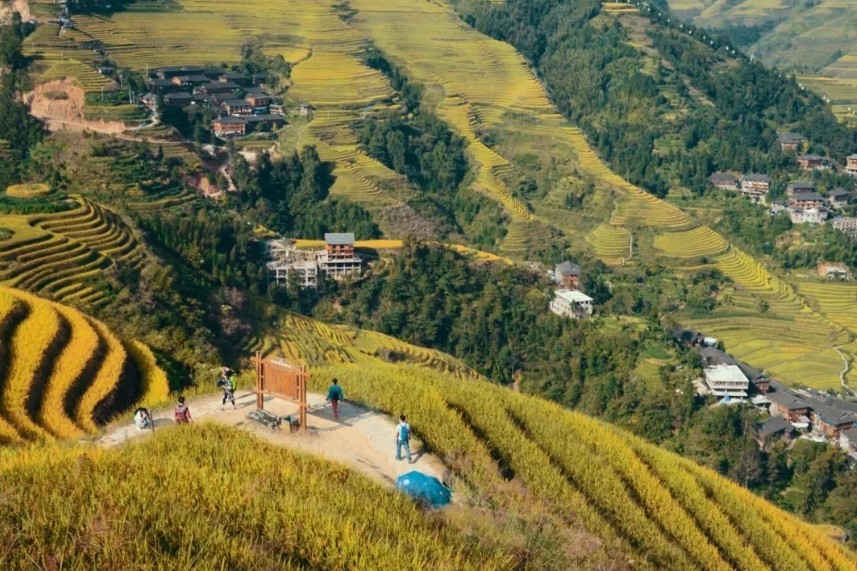 the-Longji-Rice Terraces